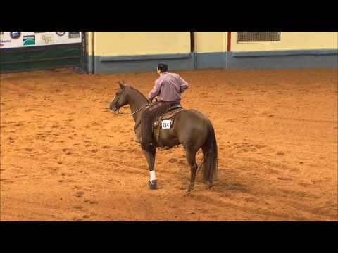Bryce Briggs - 2012 AQHYA World Championship Boxing