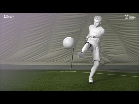 BS Sports Sciences & Physical Education @uollahorefacultyofalliedhe1051