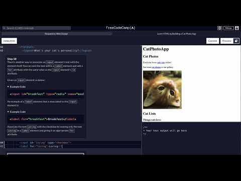 Step 58 Freecodecamp