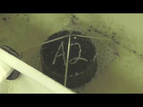 Bulk Specific Gravity Of Asphalt T 166