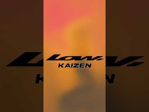 LOW. KAIZEN(OFFICIAL VISUALIZER)