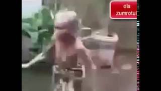 Download lagu Video Lucu Nenek nenek gokil Bertengkar,bikin ngakak mp3