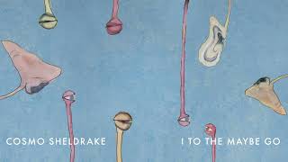 Cosmo Sheldrake - I To The Maybe Go (ft. Bunty)