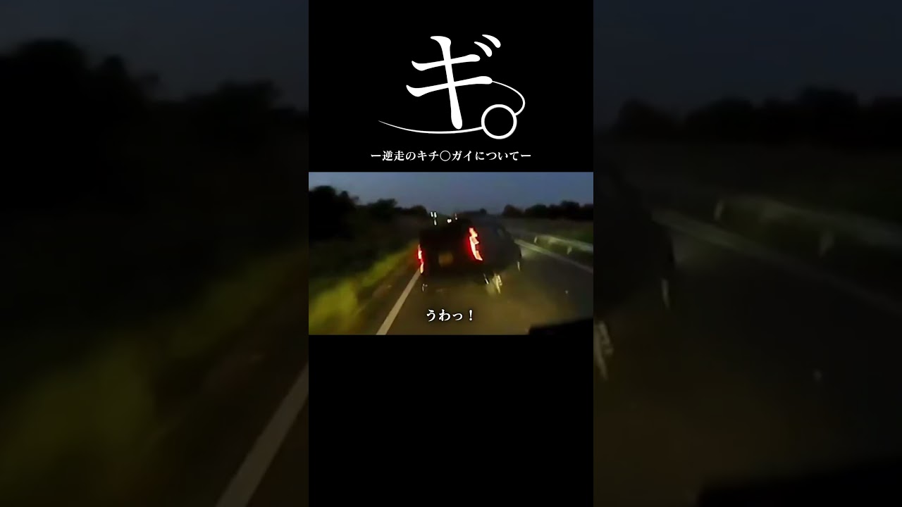 【低能】逆走キ○○イが失敗して横転#shortvideo #youtubeshorts #shorts