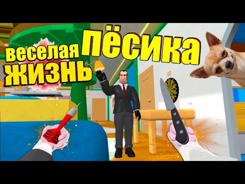 Я ВЕСЕЛЫЙ ПЕС - Dog Plan
