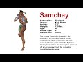 Fighter S History Samchay Profile