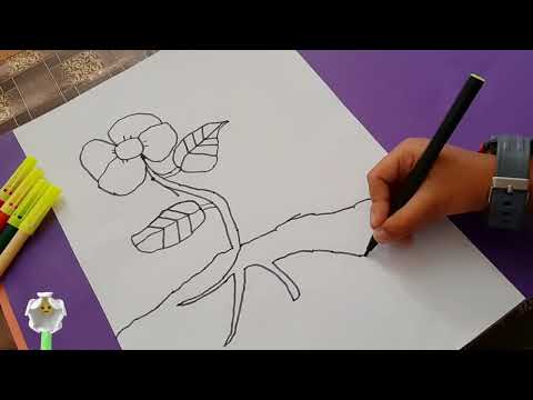 Parts Of A Plants Drawing For Kids | Video by Tanush Kushagra