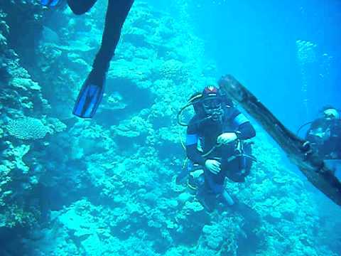 download lagu mp3 mp4 Colona Divers Sharm, download lagu Colona Divers Sharm gratis, unduh video klip Colona Divers Sharm