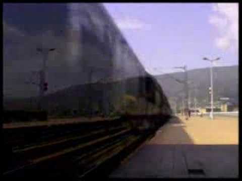 Zoran Rudan Ceki - "Zelena kajsija"