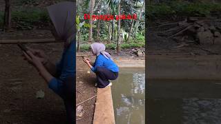 Download lagu Diganggu paksu!! #shorts #ngakak #komedi mp3