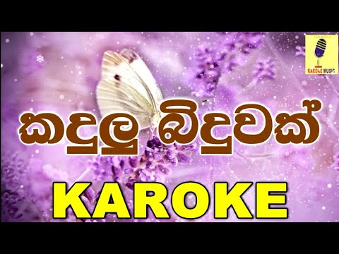 Kandulu Biduwak - Ruwan Hettiarachchi Karaoke Without Voice