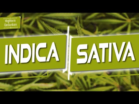 Totaler Quatsch! - Indica vs Sativa - Anna von imc erklärt Cannabis Taxonomie und Geschichte