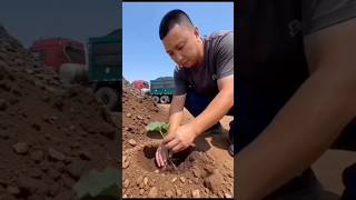 Download lagu Whoa, where are you slithering off to? 😂 #funny #funnyshorts #comedy #comedyshorts mp3 Download lagu Whoa, where are you slithering off to? 😂 #funny #funnyshorts #comedy #comedyshorts mp3