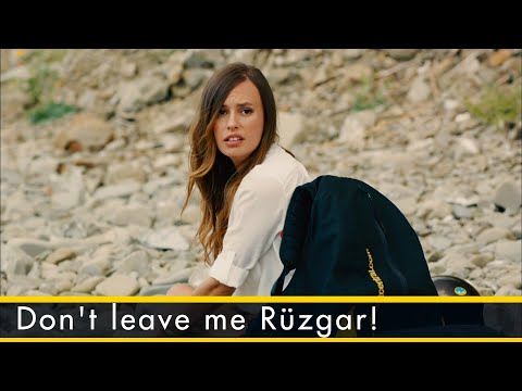 Don't leave me Rüzgar! - Sunflower Short Scenes