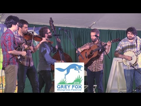 Lonely Heartstring Band - "Deep Waters", "Pain in my Heart" - Grey Fox 2016