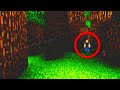 Minecraft S Most Disturbing Puzzle