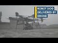 China's machine gun-mounted robot dogs - delivered by drone