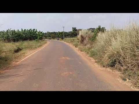  Agricultural Land 32700 Sq.ft. for Sale in Papanasam, Thanjavur