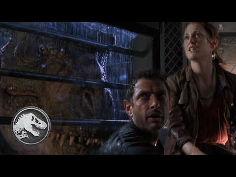 Don't Mess With a T. rex Baby