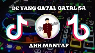 Download lagu DJ VIRAL TIKTOK!!! TARIK SIS x AHH MANTAP x DE YANG GATAL GATAL | REMIX BY DJ DESA🎶 mp3