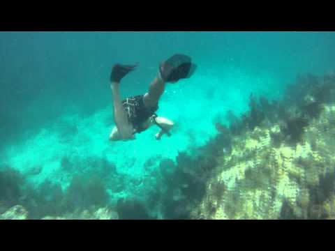 Marathon Florida Sombrero Reef Snorkeling