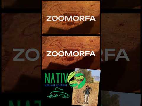 Revelado o mistério da marca do Parque Nacional da Serra da Capivara. #serradacapivara #natureza