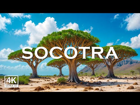 Socotra Island, Yemen 4K - Stunning Footage Socotra, Scenic Relaxation Film with Calming Music