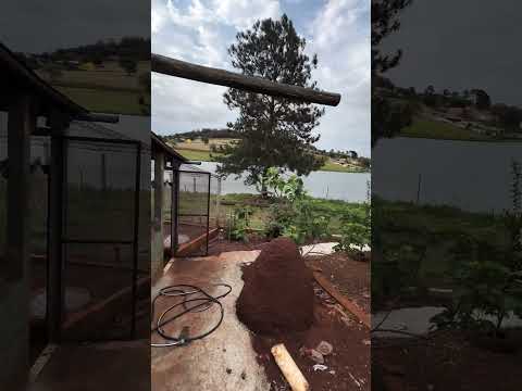 Loteamento Terra do São Marcos um represa de Avaré interior de São Paulo #automobile #djibrasil