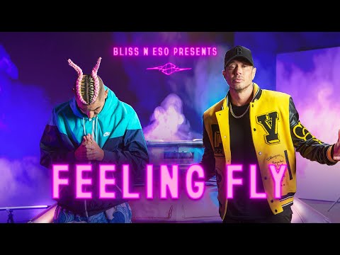 Video thumbnail for Feeling Fly