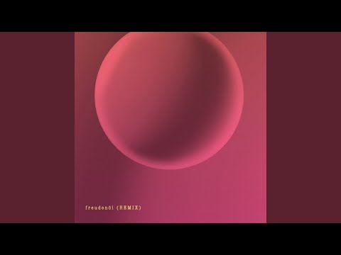 Freudenöl statt Tränen (Remix)