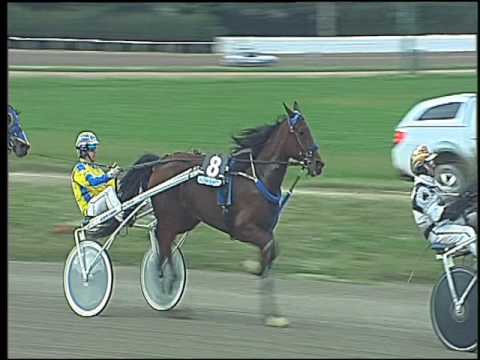 Trotto 21/10/2016 - 4ª corsa