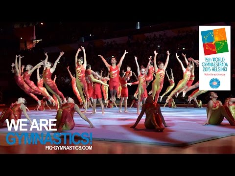 World Gymnaestrada 2015 – You did it ! – We are Gymnastics !