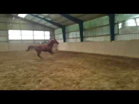 Likeable v. Londontime-Weltmeyer-Wenzel