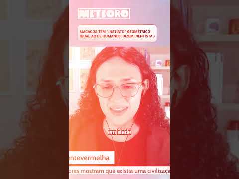 MACACOS TÊM “INSTINTO” GEOMÉTRICO IGUAL AO DE HUMANOS, DIZEM CIENTISTAS