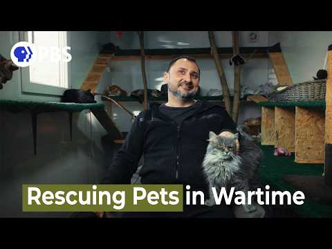 Meet the People Saving Animals in War Torn Ukraine