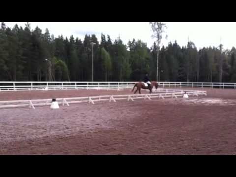 Agda och Linnea dressyrtävling