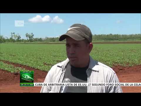 Presidente de Cuba recorre el municipio de Nueva Paz