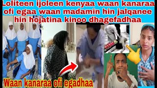 Download lagu 📌Ofii eganoo ijoleen kenyaa waan isiin bekuu qabadaan video kana hagaa dhumaatii dhagefadhaa mp3 Download lagu 📌Ofii eganoo ijoleen kenyaa waan isiin bekuu qabadaan video kana hagaa dhumaatii dhagefadhaa mp3