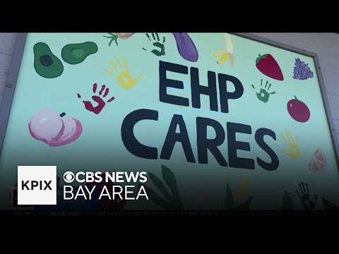Bay Area nonprofit admits oversight failures after investigation ...