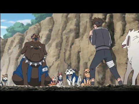 YouTube video about: How did kakashi get his dogs?
