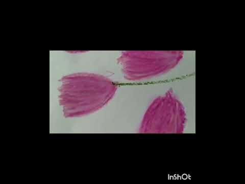 Easy flower drawing 🌷🌺@Rinki Art and Craft Channel ®❤️🌺🌸 #drawing #easy 💌