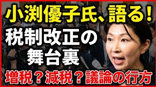 🇯🇵🏛️🗣️「自民党の小渕議員は減税論争を批判した。」⚖️💴