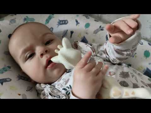 Playful Moments: Kayla's Fun with Sophie the Giraffe | Baby's Favorite Toy