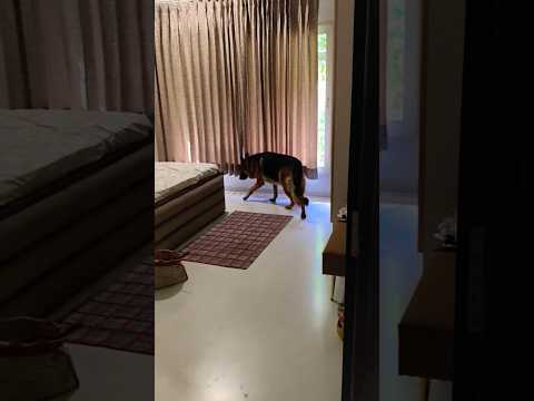 @zameeransari851 🥰💞💞💞💞💞🌹🥰💞🌹🌹🥰🥰🥰💞🥰🥰🫅👿👿