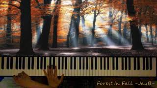 [JayB] Forest In Fall(秋の森)(가을숲)