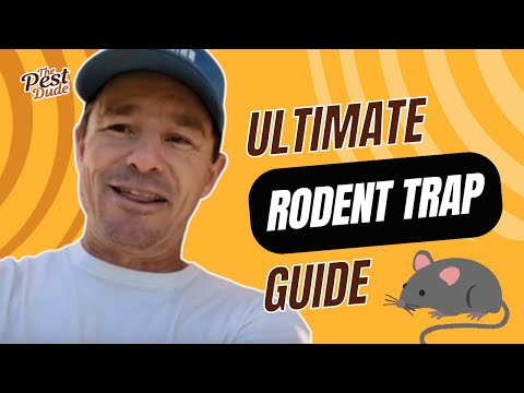 Ultimate Rodent Trap Guide: From Humane to High-Tech Solutions!