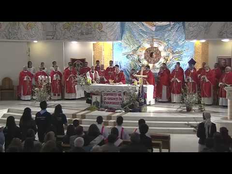 Iaşi (catedrală): Ziua Tinerilor în Duminica Floriilor (13 aprilie 2014)