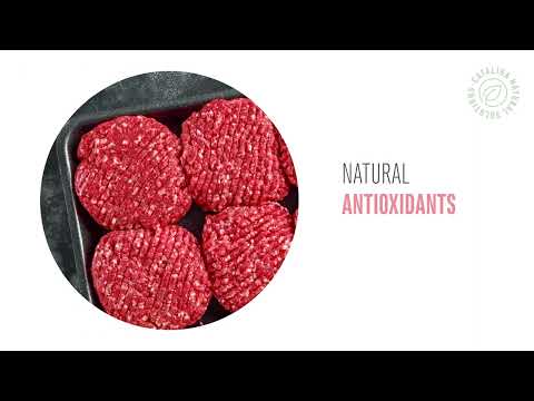 Catalina Food Solutions | Products |