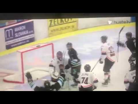 prapavessis highlight video