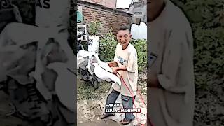 Download lagu The Beginning of a Little Legend☠️New Alodi🔥#bull #jaranan mp3